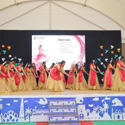 IMG 7977