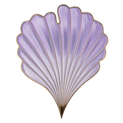 seashell