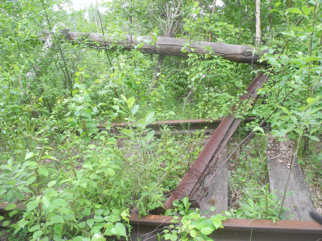 DSCN0797