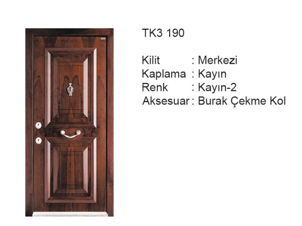 Steel door TK3 190