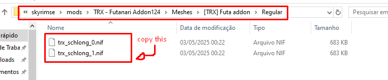pt6.png