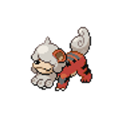Z-growlithe-hisui