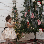 IMG 4376