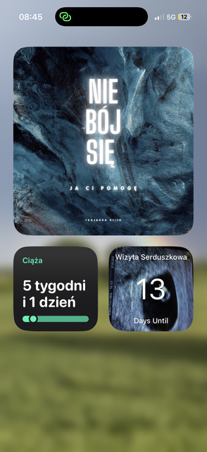 IMG-0457.png