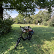 IMG-0277