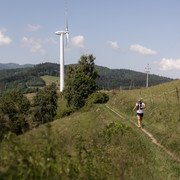 IMG-0179
