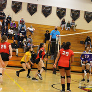 IMG-0085