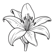 01-697