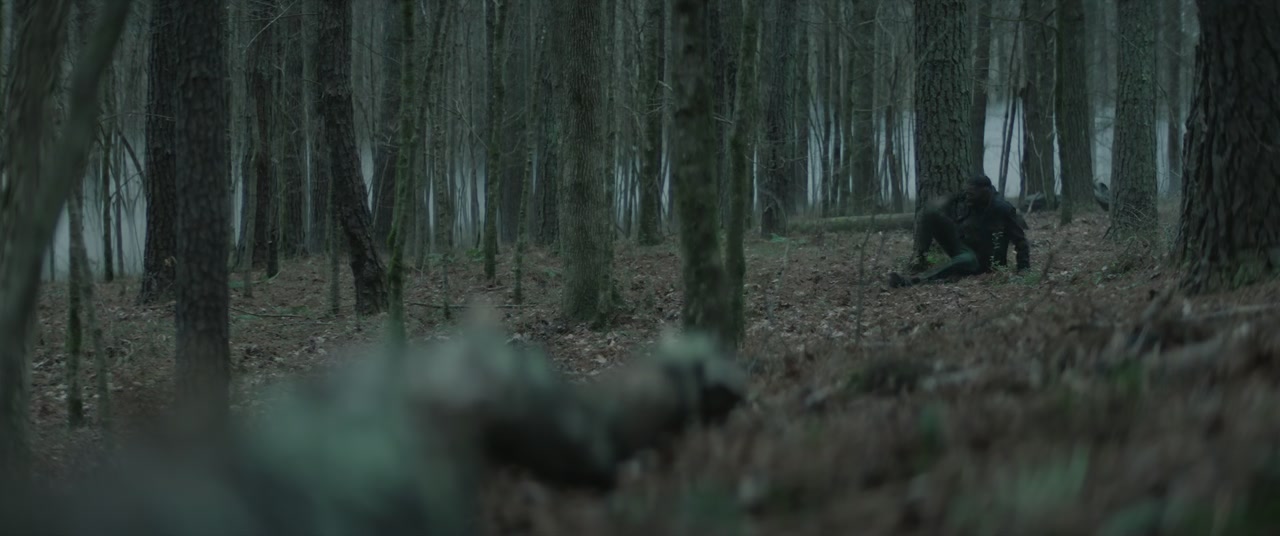 The Madness Screenshot
