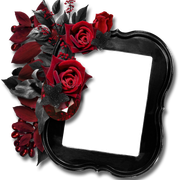 cluster-frame-297