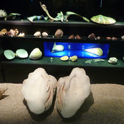 P1070822