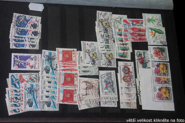 IMG-3050.jpg
