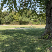 IMG 7993