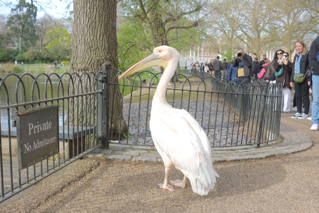 DSCF8820.jpg