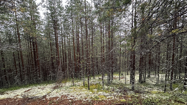 IMG 5252.jpg