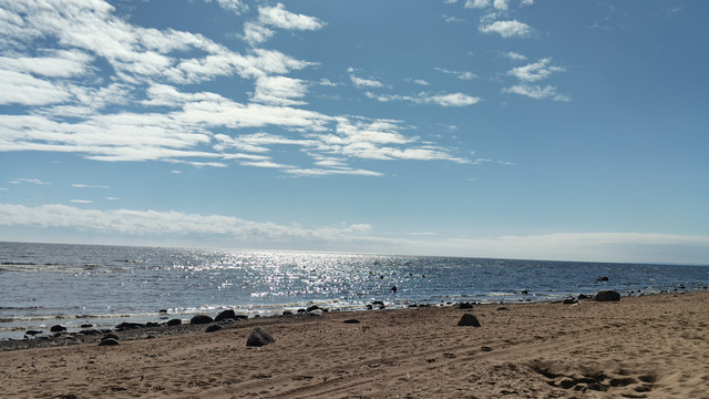 IMG 20260516 154157 619