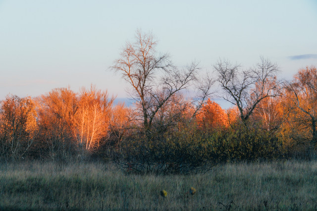 DSCF0992 копия