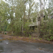 OLYMPUS-DIGITAL-CAMERA