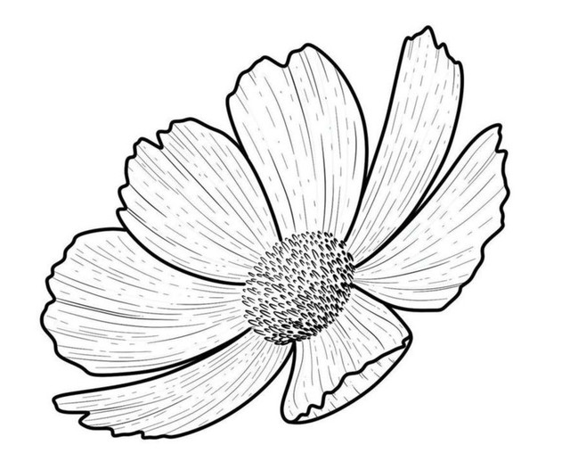 3ed16ddb91075a24bc323dd93a238f5f.jpg