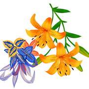 ad8c84b5dd239c5edf8a8ce21db544f5