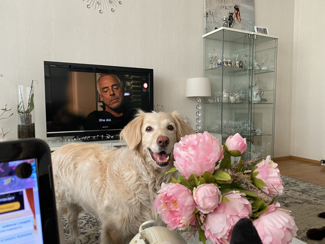 3-E7-F8507-4221-4-BBA-A99-C-5-D3-E55-A7-