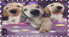 IMG 1666.webp