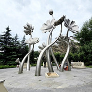 81