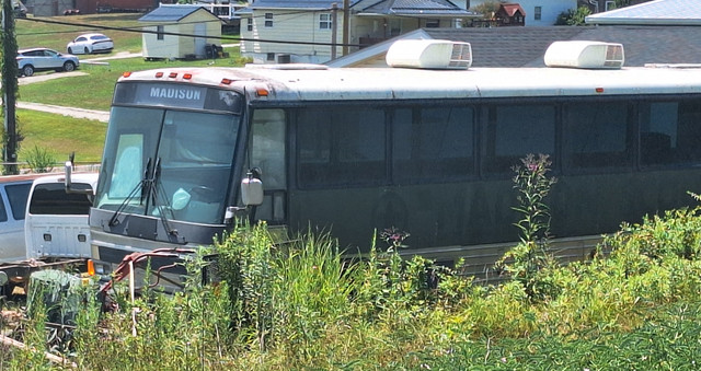 Madison-bus-2