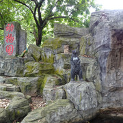 DSC00186