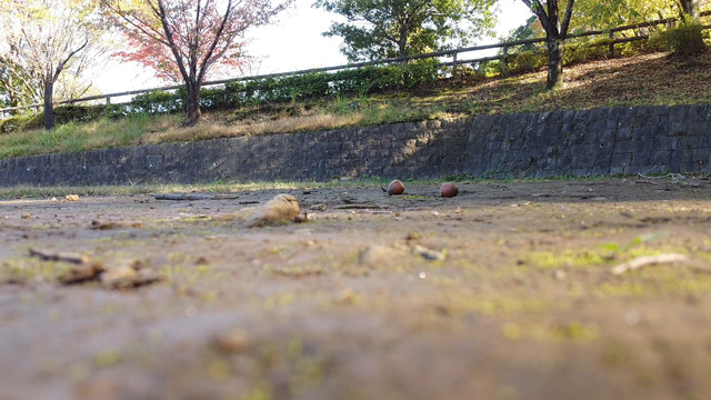 123.jpg