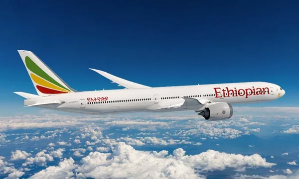 Illustration - Éthiopie : Ethiopian Airlines conforte son trône de premier transporteur africain