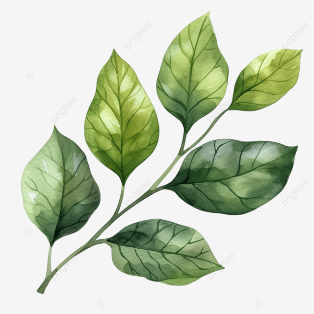 af27dde75c9ac1b75894e27f9af225e9.png