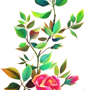 5ec7a48a9e4ce89bbf9c4927ca4d2e0d-1