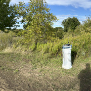 IMG-3360