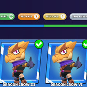 Pro Pass