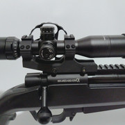 Ares (2)