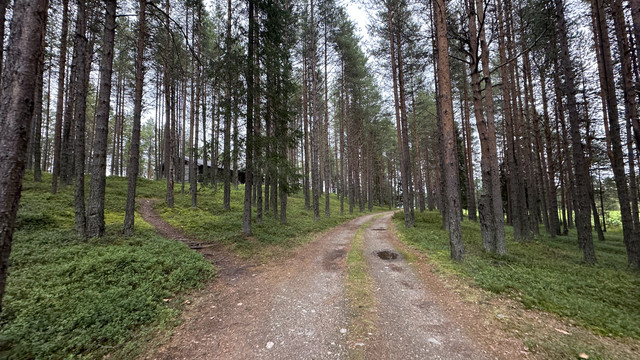 IMG 5705.jpg