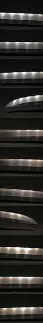 DSC7655.jpg