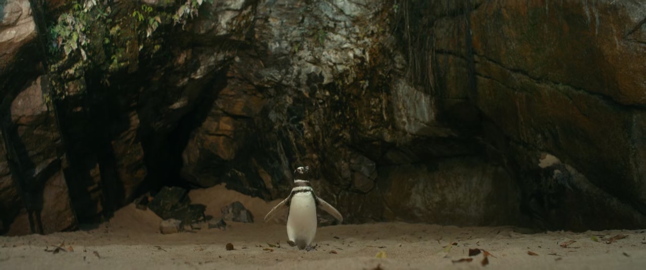 My Penguin Friend Screenshot