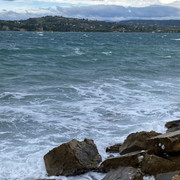IMG-2382
