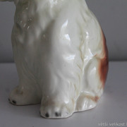 IMG-2831