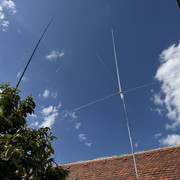 IMG 7464