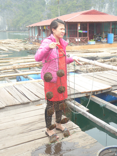Pearl-farmer
