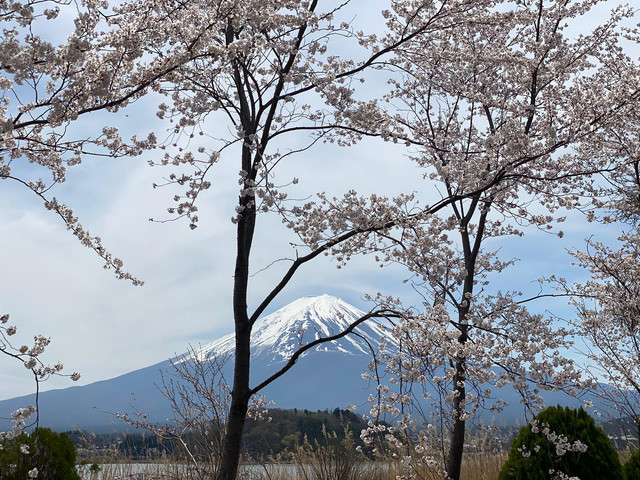mt-fuji