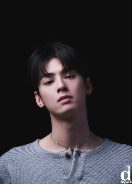 cha eun woo 1252848
