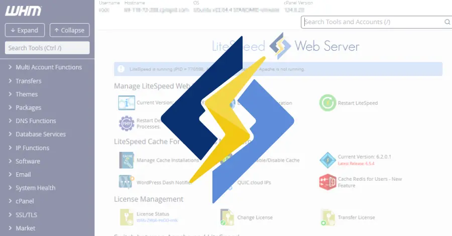 Critical Security Flaw in LiteSpeed cPanel Plugin Enables Root-Level Exploitation