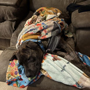 IMG 5519