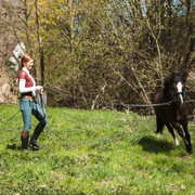 DSC01730