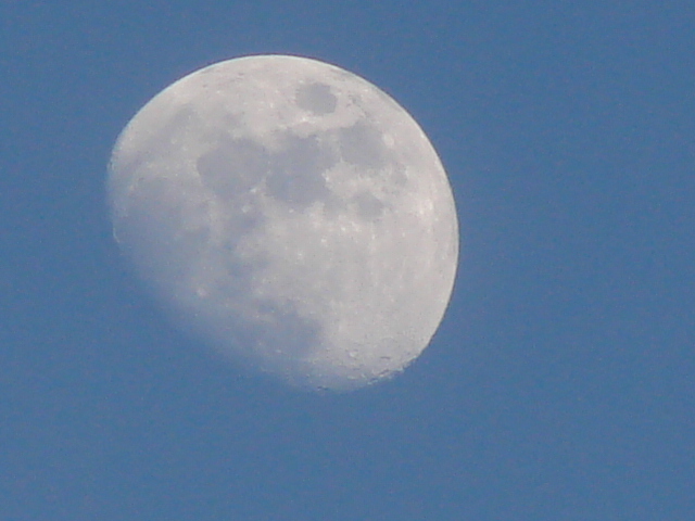 DSC04618.jpg