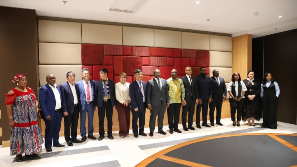 Illustration - Guinée équatoriale : Malabo mise 10 milliards de dollars sur un groupe vietnamien méconnu